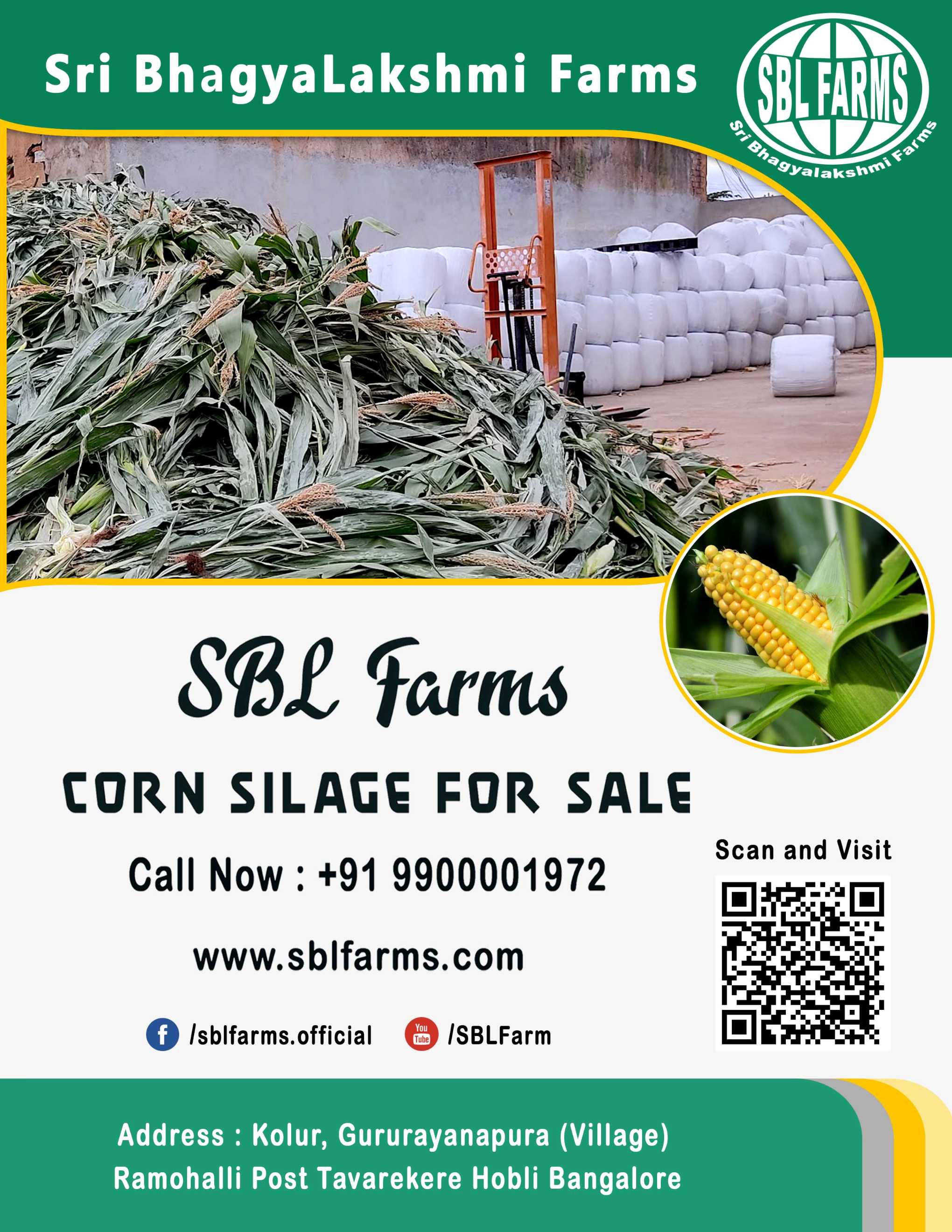 Corn Silage Suppliers in Bangalore | Corn Silage for Sale  |  Corn Silage, Baby Corn Silage manufacturers, suppliers & exporters in Bangalore | corn silage for sale in bangalore |  Sri Bhagyalakshmi Farms Corn Silage Bangalore| Silage Balers | Animal Feed Manufacturers | Production of Silage |Cattle feed manufacturers & suppliers - SBL Farms is solving the biggest fodder crisis in India, by supplying Silage bales, Bailing machines to dairy farmers, Cooperatives, Animal Husbandry | Best Cattle Feed Manufacturers & Silage Suppliers in India | Indias Best Baled Silage Producers